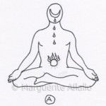 Les postures inversées (2).